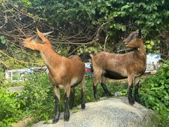 -三亚西岛海洋文化旅游区