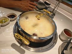 -洪氏嗨捞·广东猪肚鸡·椰子鸡火锅(西咸万象城店)