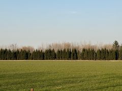 -汉长安城未央宫国家考古遗址公园