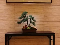 -洋房汤馆