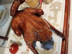 -大鸽饭(动物园店)