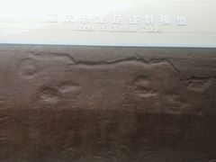 -延庆地质公园博物馆