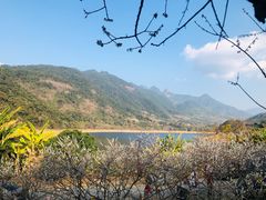 -广州市流溪河国家森林公园
