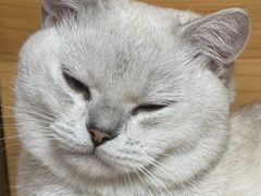 -味多美蛋糕(双安店)