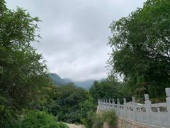 -阳台山自然风景区