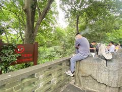 -上海佘山国家森林公园西佘山园