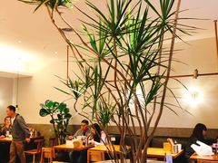 大堂-村外有星光小食铺(长嘉汇店)