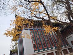 -国家图书馆·古籍馆