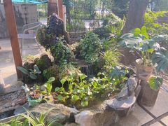 -谷咖啡·鲜花绿植花园餐厅