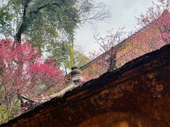 -天台山景区