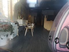 -猫十亿·布偶金渐层·曼基康矮脚猫舍(青年路店)