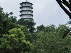 -深圳国际园林花卉博览园