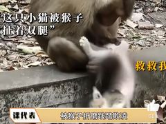 -昆明动物园