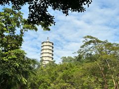 -深圳国际园林花卉博览园