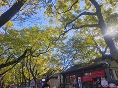 -北京国子监胡同