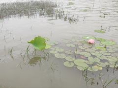 -艾溪湖湿地公园