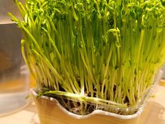 -海底捞火锅(绿洲梦想店)