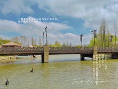 -上海野生动物园