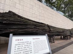 -金沙遗址博物馆