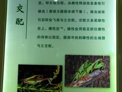 -上海昆虫博物馆
