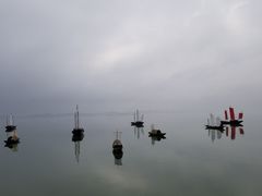 -鄱阳湖国家湿地公园