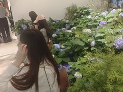 -Apollo·西班牙小酒馆(安福路店)