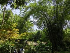 -成都杜甫草堂博物馆