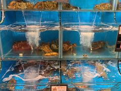 -苏大嘴海鲜牧场(奥林匹克店)