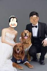 点击看大图 -CD视觉婚纱摄影