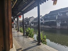 -西塘人家•黑金冠本地好店