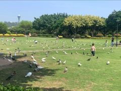 -白鹭洲公园