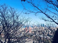 -南山健身公园