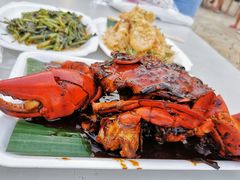 黑胡椒螃蟹-纽顿熟食中心