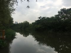 -新江湾城公园