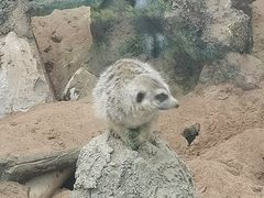 -昆明动物园