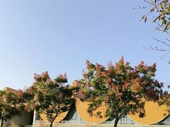 -隋唐大运河文化博物馆