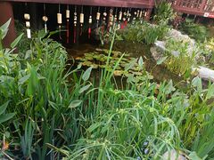 -深圳国际园林花卉博览园