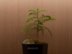 -汤泉良子·沐足·颂钵疗愈·SPA(珠江新城店)