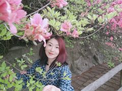 -木兰云雾山