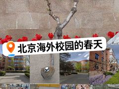 -北京市海淀外国语实验学校