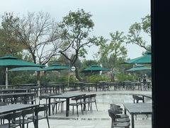 -静之湖湖畔餐厅