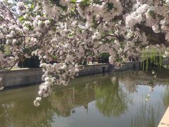 -元大都城垣遗址公园