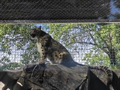 -青藏高原野生动物园