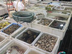 -外伶仃岛海鲜市场