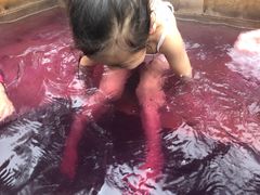 -天目湖涵田半山温泉