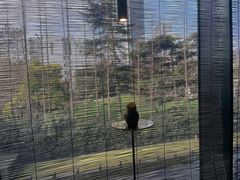 -上海璞麗酒店