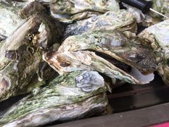 原蒸生态海岛鲜蚝-邹记·美食(斗门店)