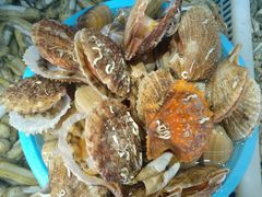 -港畔赶海蒸汽海鲜烧烤自助(仙螺岛店)