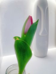 -Lily纤美·科技减脂中心