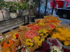 -溪岸路花鸟市场